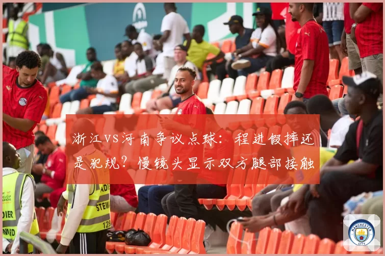浙江vs河南争议点球：程进假摔还是犯规？慢镜头显示双方腿部接触不足三成